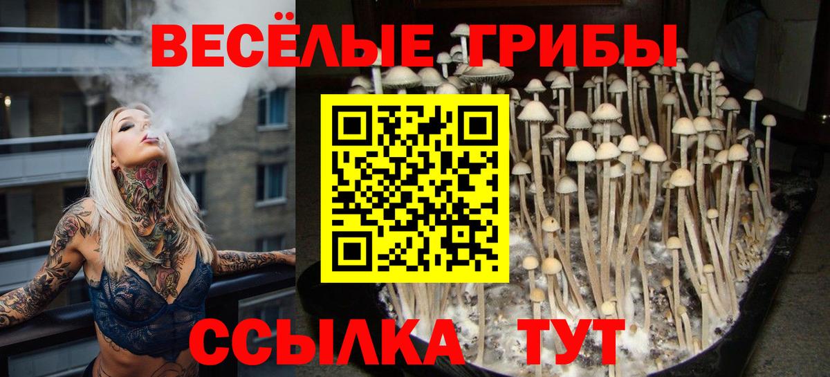 Псилоцибиновые грибы Psilocybe Каспийск