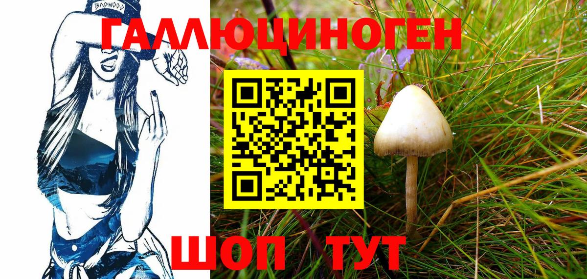 Галлюциногенные грибы MAGIC MUSHROOMS  Вход с VPN  Каспийск 